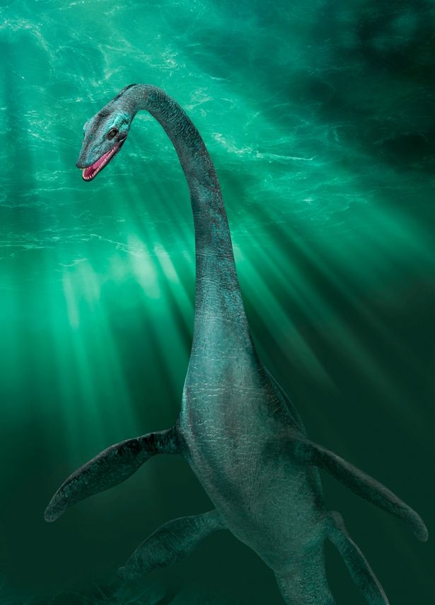 Loch Ness Monster may be a giant eel, say scientists