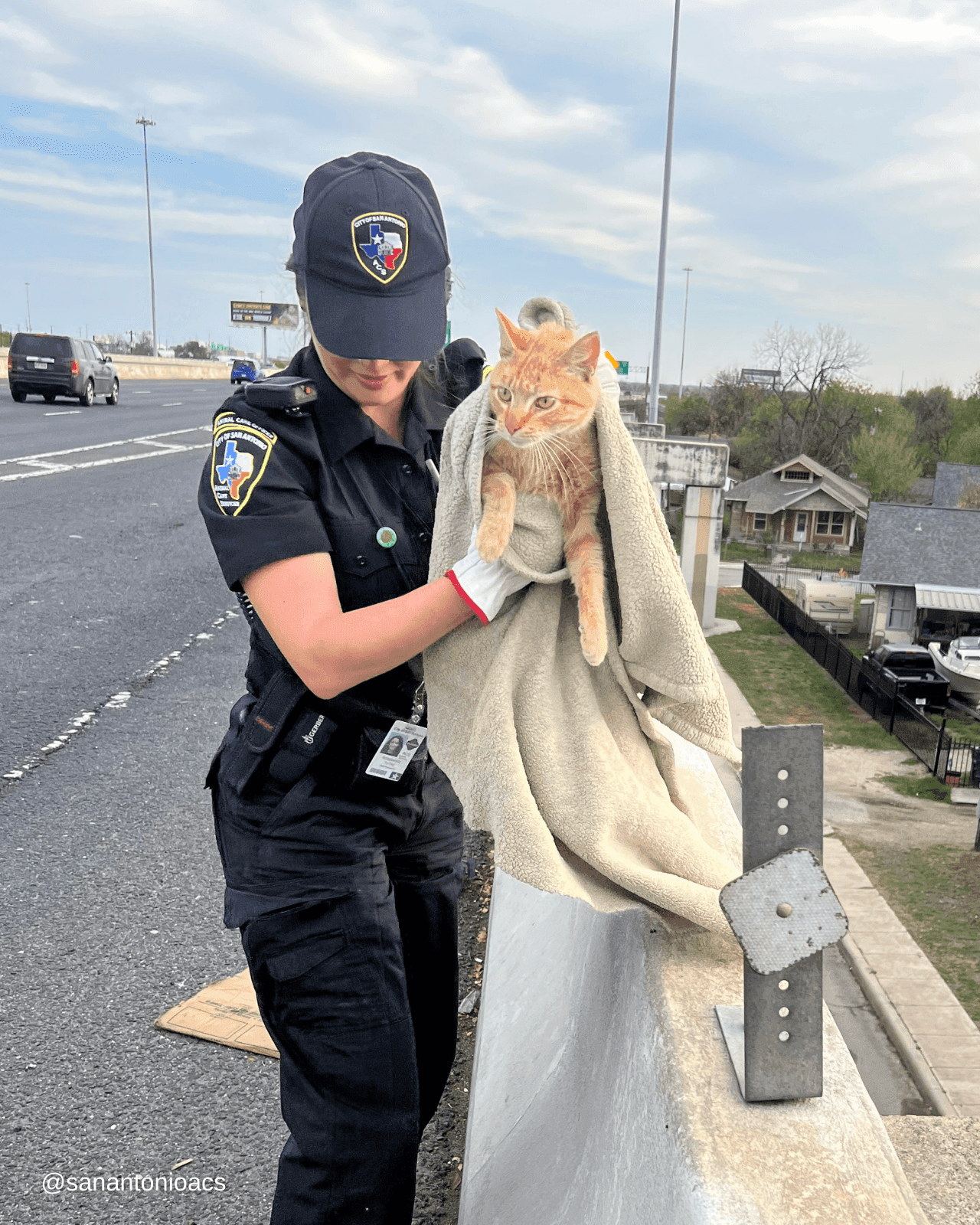 Nice action of the policewoman : Rescuing the cat from the ledge of the highway overpass despite the difficult height