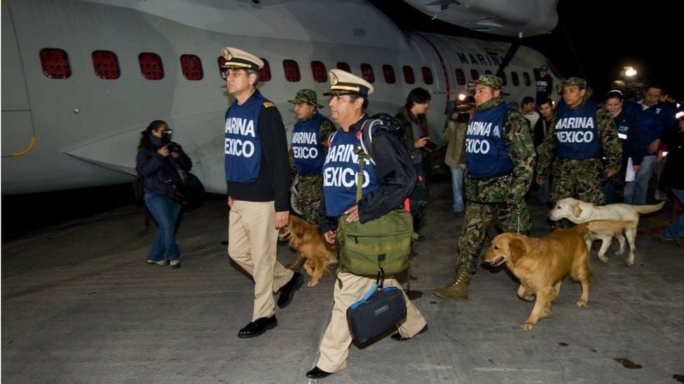 Mexicans honor brave hero dogs as photographer shares touching portraits of them