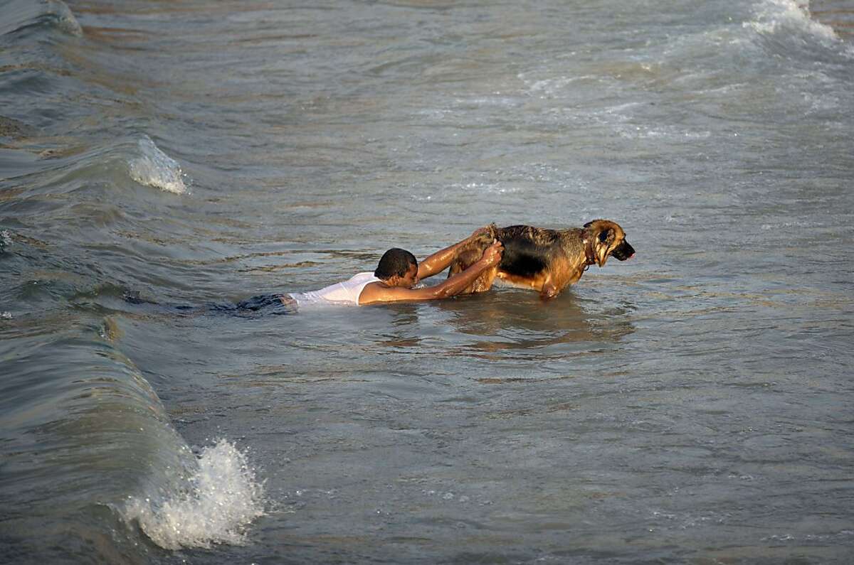 A brave dog named Max became a real hero when he saved a young man from drowning, making everyone extremely surprised and touched by this noble deed.j - New Lifes