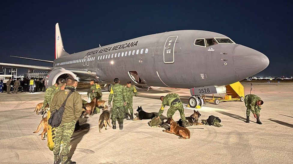 International Aid in Action: Mexico Sends Renowned Search and Rescue Dogs to Assist in Turkey Earthquake. Witness the Remarkable Skills and Dedication of these Canine Heroes in Times of Crisis. thien - New Lifes