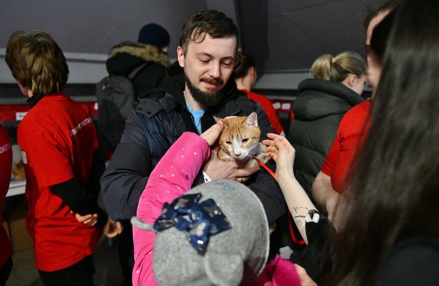 33 cats participated in the Artplay exhibition, where over half a ton of supplies were collected to support animal shelters.!!