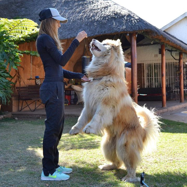 "From Puppy Love to Reality Check: A Woman's Journey of Acceptance with Her Unusual Pet Companion" 🐶❤️😲