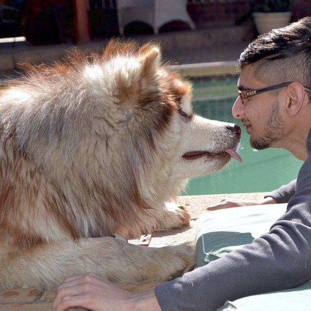 "From Puppy Love to Reality Check: A Woman's Journey of Acceptance with Her Unusual Pet Companion" 🐶❤️😲