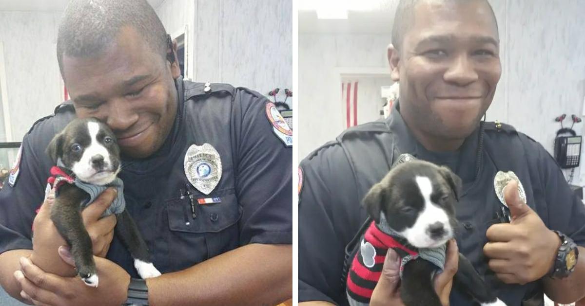 Unexpected Love Story: Police Officer Smitten by Adorable Puppy on Routine Call - vnxaluan