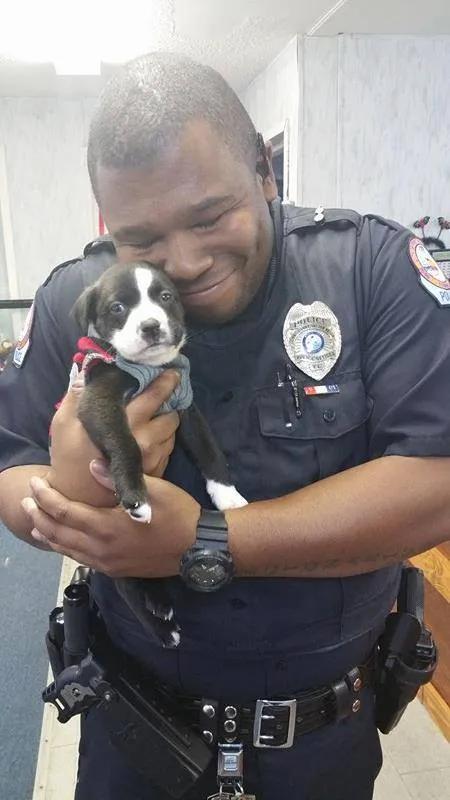 Unexpected Love Story: Police Officer Smitten by Adorable Puppy on Routine Call - vnxaluan