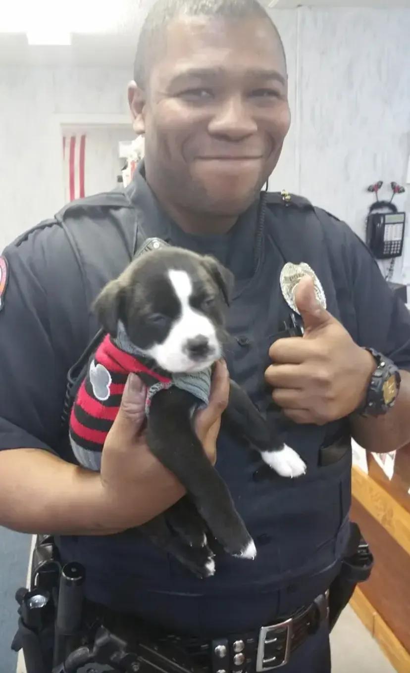 Unexpected Love Story: Police Officer Smitten by Adorable Puppy on Routine Call - vnxaluan