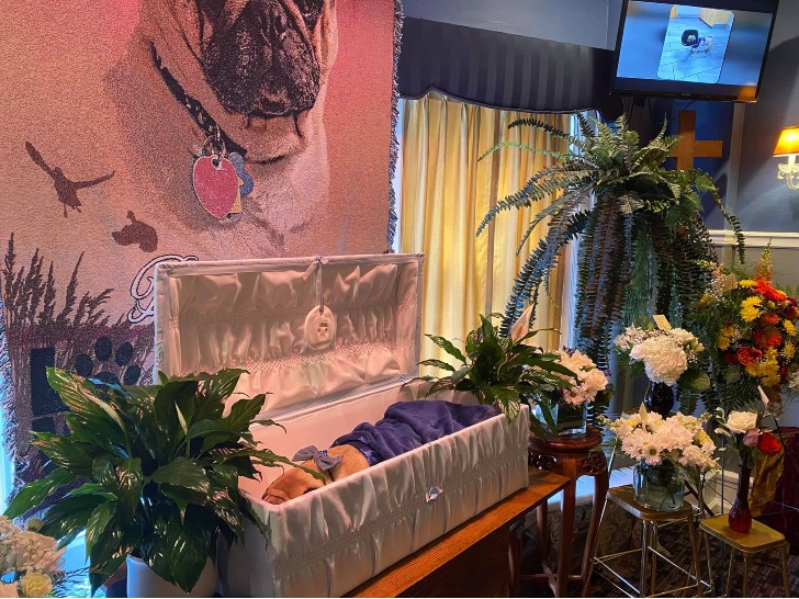 "Farewell to a Faithful Companion: Honoring Dexter's Memory with a Heartfelt Funeral Service"