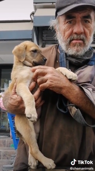 A homeless man pleads for help for his sick dog, emphasizing the bond and devotion between them, even in times of hardship. – newsvaults.com