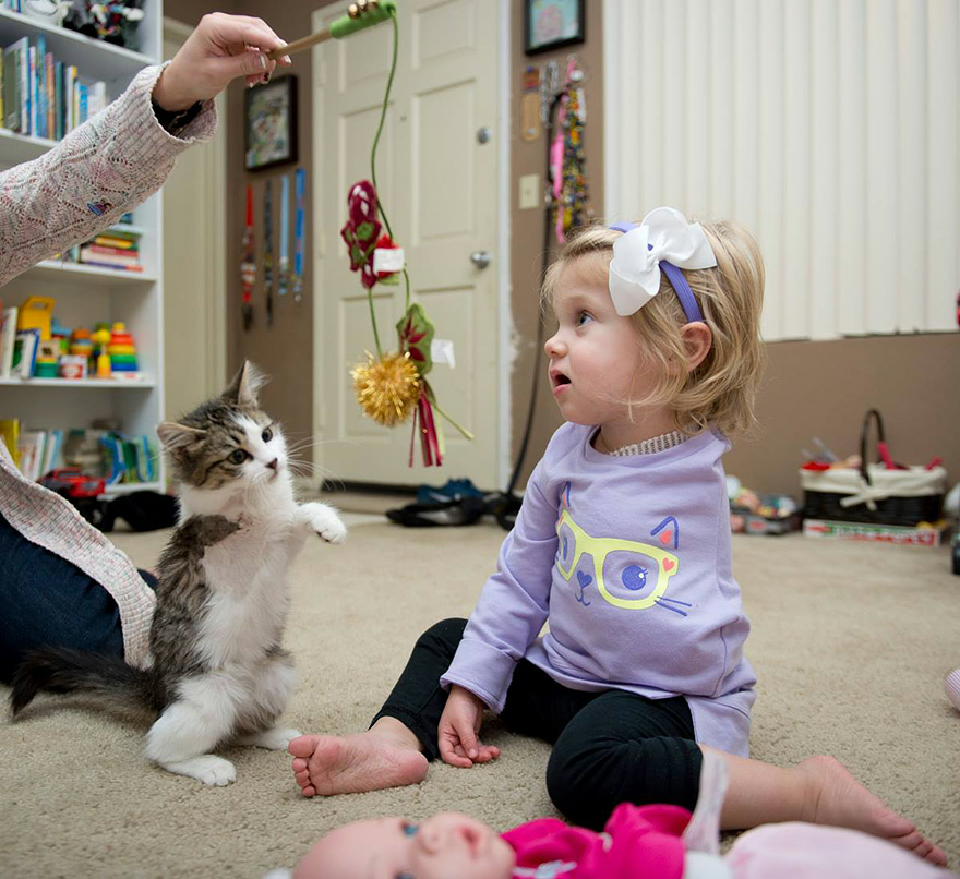 With a missing limb, a three-legged kitten finds solace in the embrace of an amputee girl, their unbreakable bond a testament to resilience and unwavering friendship. - Lillise