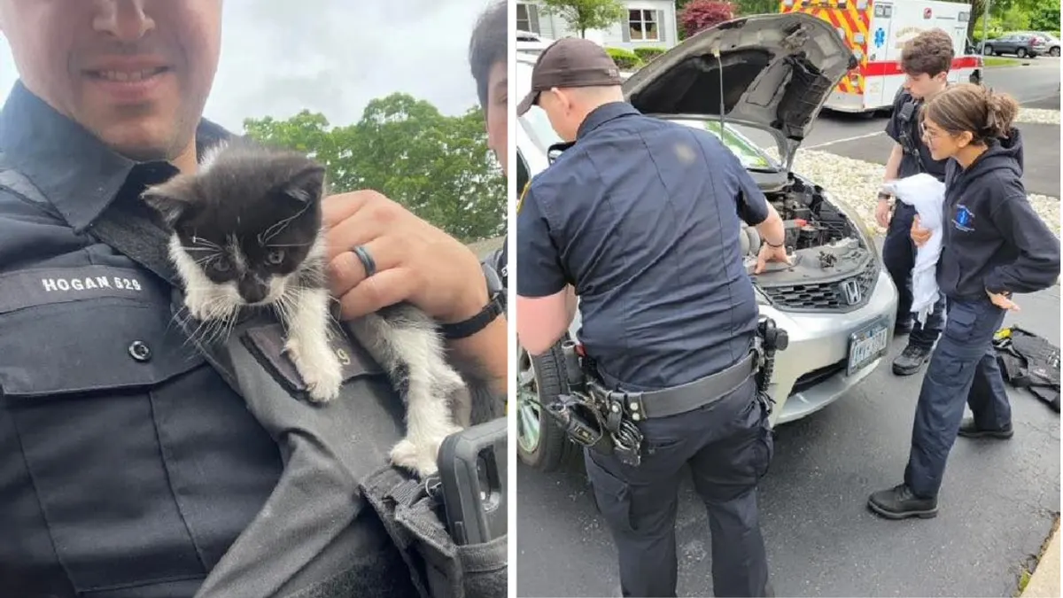 A police officer rescues a kitten from a car engine and decides to adopt him, granting him a forever home filled with love and care. - Lillise