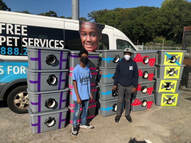 Boy scouts show kindness and compassion by creating shelters from storage totes to save stray cats from winter weather. - Lillise