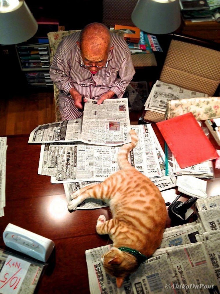 A Japanese girl gave her sick and grumpy grandpa a cat, and it transformed his life. – The News Volcano