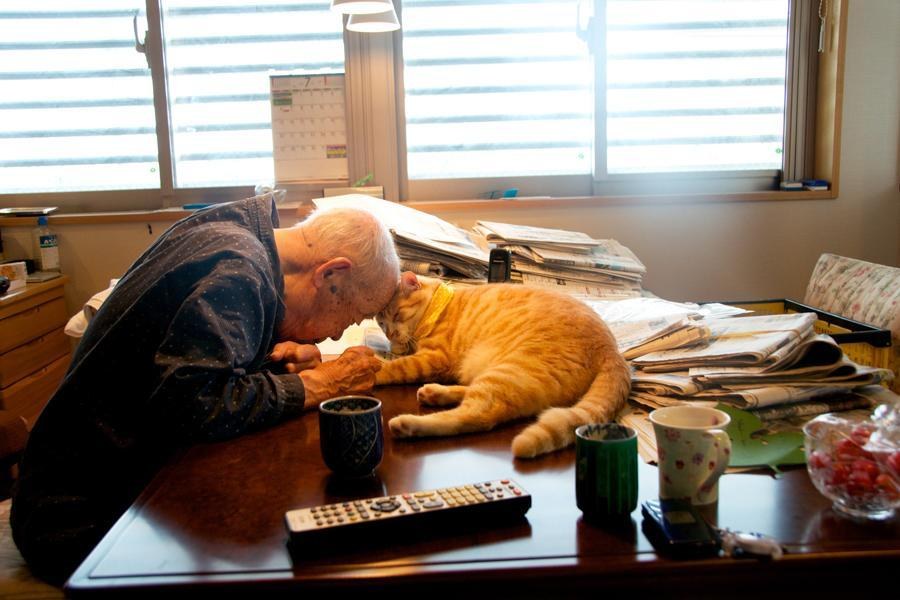 A Japanese girl gave her sick and grumpy grandpa a cat, and it transformed his life. – The News Volcano