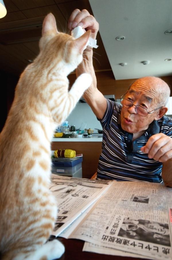 A Japanese girl gave her sick and grumpy grandpa a cat, and it transformed his life. – The News Volcano