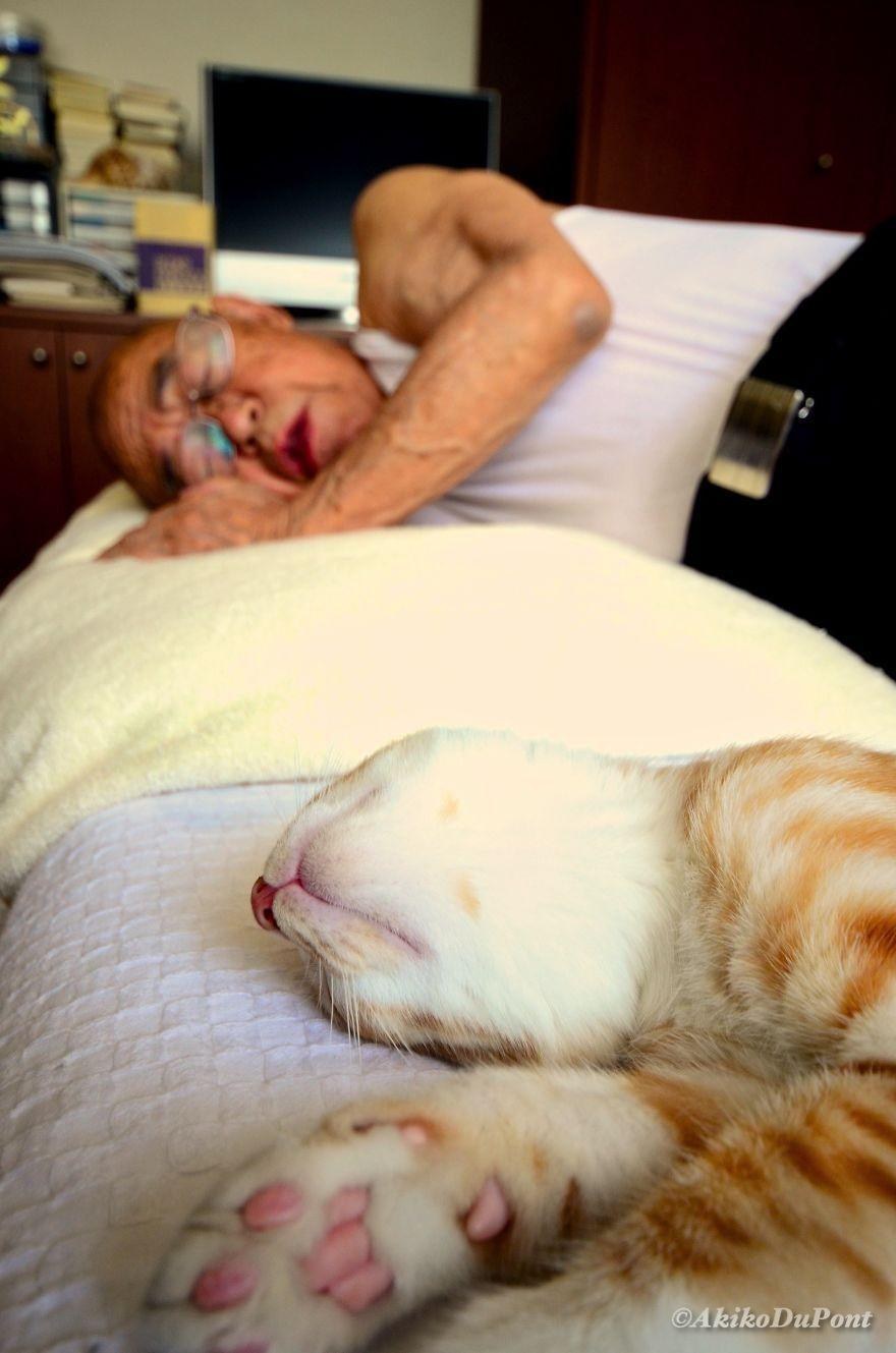 A Japanese girl gave her sick and grumpy grandpa a cat, and it transformed his life. – The News Volcano