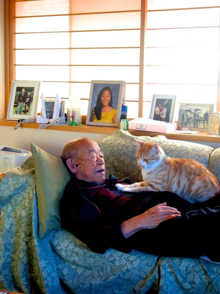 A Japanese girl gave her sick and grumpy grandpa a cat, and it transformed his life. – The News Volcano