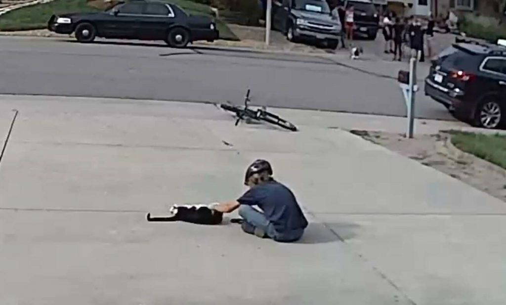 Caught in a heartwarming act, a boy pays a sweet visit to his neighbor’s “misunderstood” cat. – The News Volcano