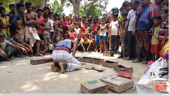 Incredible Street Performance: Unbelievable Actions of an Indian Snake Craftsman (Video). l - Malise