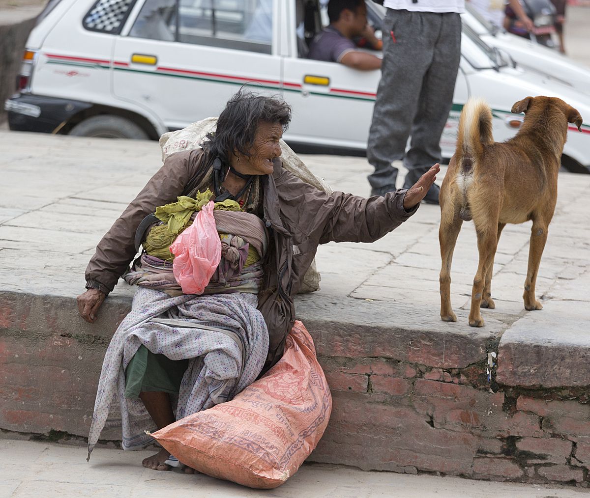 Dogs Assist Needy Owners Desperate in Their Search for Scrap