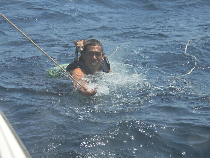 A compassionate Thai Navy officer rescues four helpless kittens from the clutches of drowning, showcasing his deep empathy and saving them from a tragic fate, highlighting the transformative power of compassion and care towards animals in need and the impact that one person can make in the lives of multiple animals. – Brother Cris