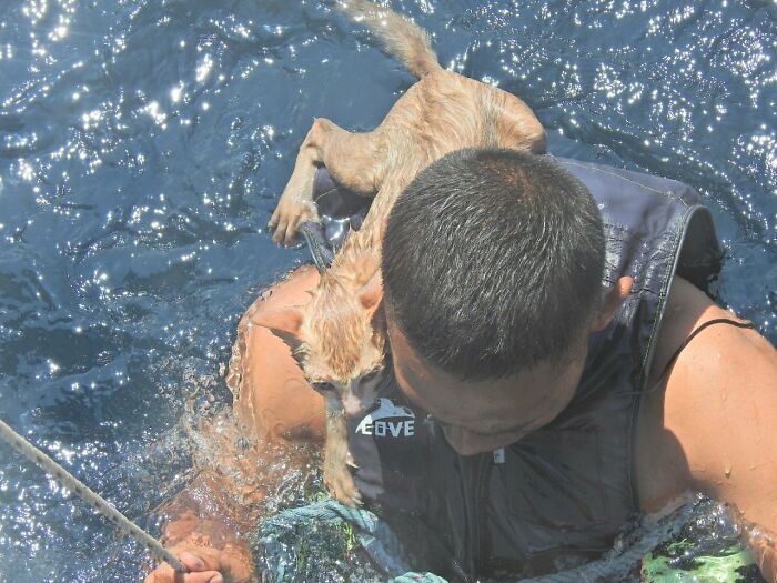 A compassionate Thai Navy officer rescues four helpless kittens from the clutches of drowning, showcasing his deep empathy and saving them from a tragic fate, highlighting the transformative power of compassion and care towards animals in need and the impact that one person can make in the lives of multiple animals. – Brother Cris