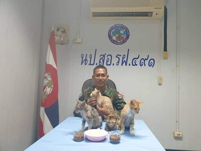 A compassionate Thai Navy officer rescues four helpless kittens from the clutches of drowning, showcasing his deep empathy and saving them from a tragic fate, highlighting the transformative power of compassion and care towards animals in need and the impact that one person can make in the lives of multiple animals. – Brother Cris