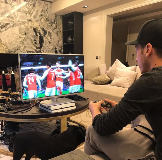 Indulge in the opulence and bliss surrounding player Mesut Ozil and his wife as they reside in their breathtaking $10M mansion, a testament to their wealth and happiness. !g - LifeAnimal