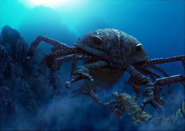 Astonishing Discovery: Prehistoric Sea Scorpion, Extinct for Millions of Years, Unearthed in Australia at an Impressive Length of 2 Meters.hoa - New Lifes