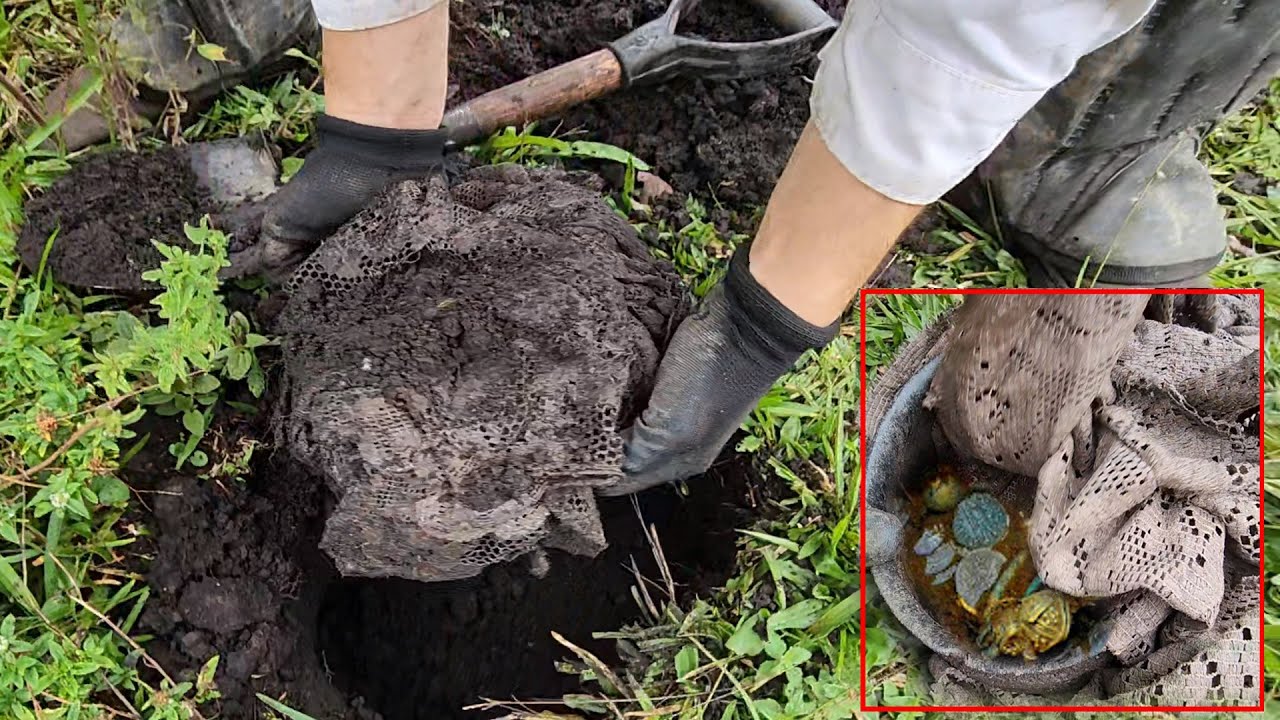 Discovery of Fortunate Treasure: Basket of Gold Found in Swamp