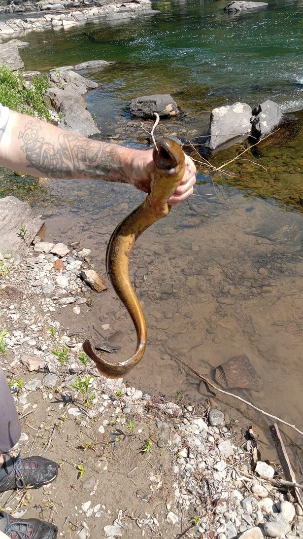 Horrified fisherman lands 'alien' parasite that 'looks like something from Star Wars'