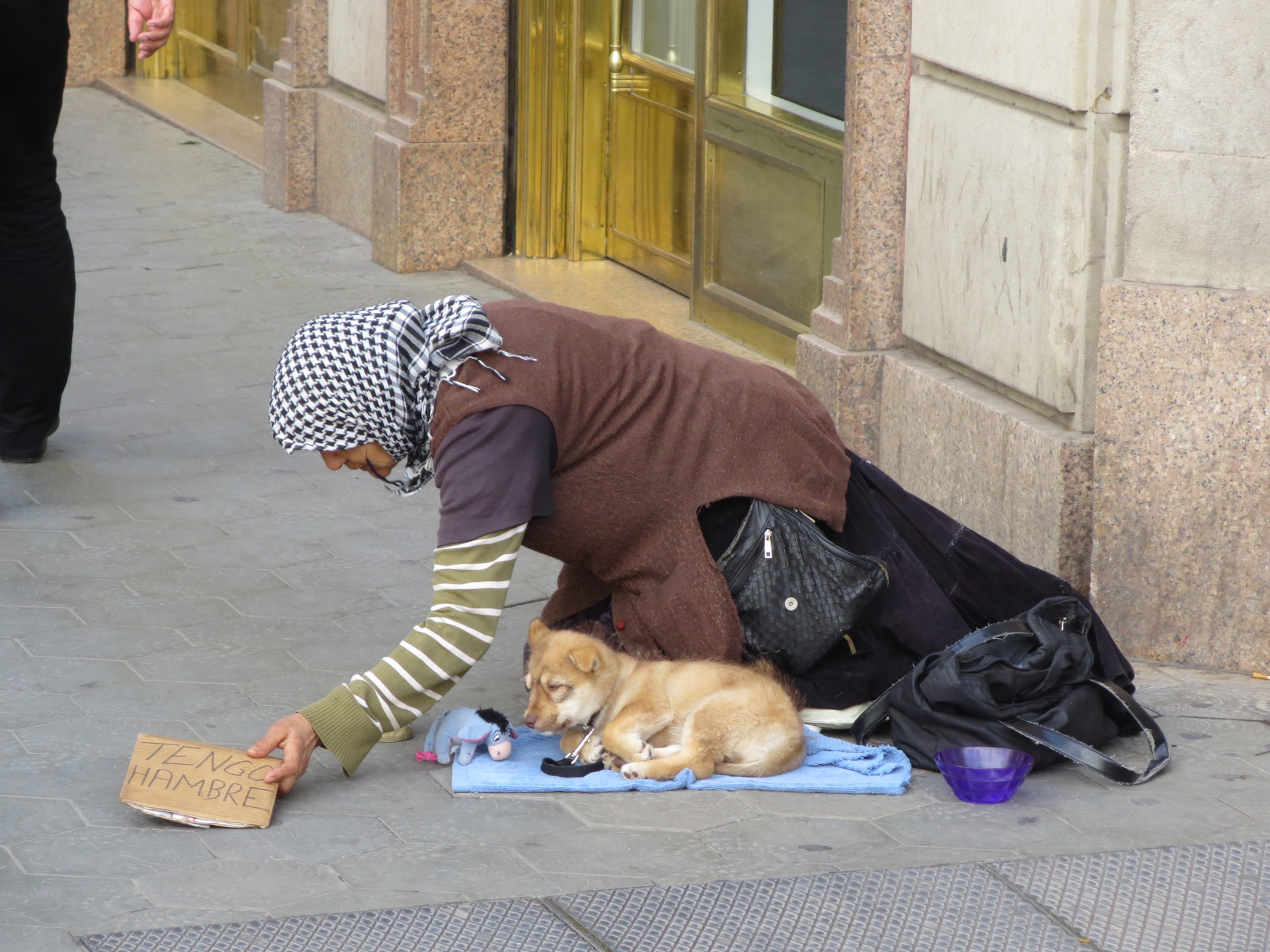 Dogs Assist Needy Owners Desperate in Their Search for Scrap