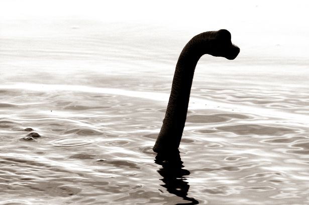 Loch Ness Monster may be a giant eel, say scientists