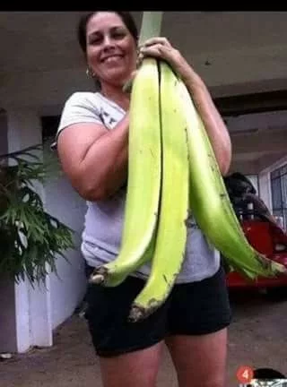 The Astounding 'Super Giant' Banana: Awe-Inspiring and Cut into Bite-Sized Portions for Consumption - Amazing Nature