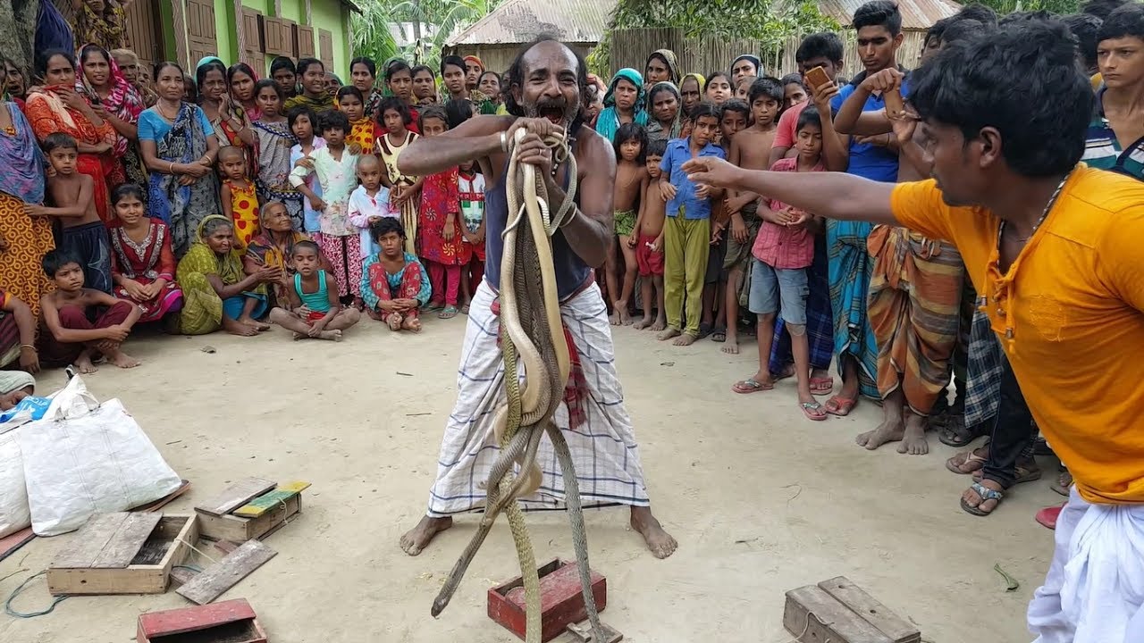 Incredible Street Performance: Unbelievable Actions of an Indian Snake Craftsman (Video). l - Malise