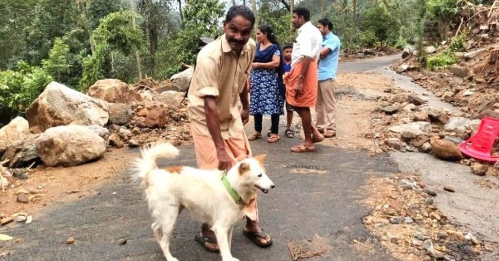 Courageous Dog Becomes Symbol of Floods as She Saves Her Puppies – News Breaking