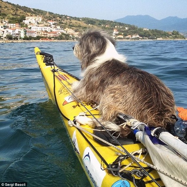 This Guy Quit His Job To Live On Beaches And Kayak Around The World With A Stray Dog
