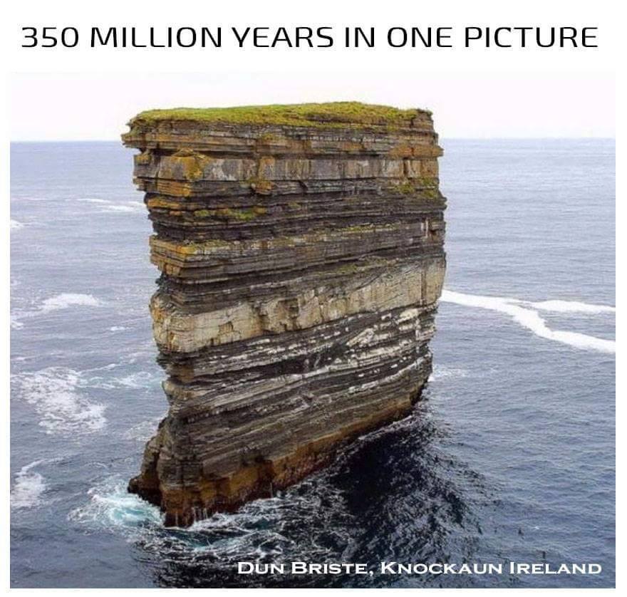 350 Million Years in One Picture (And an Incredible Story)