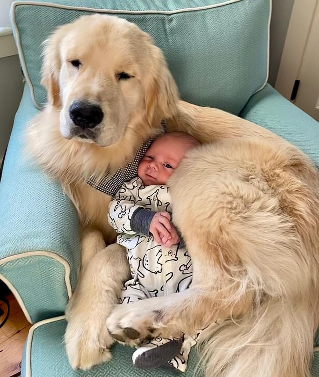 Close friendship: Exciting footage reveals a dog's emotional bond with a newborn baby that's captured the hearts of millions q. - Puppy Blog