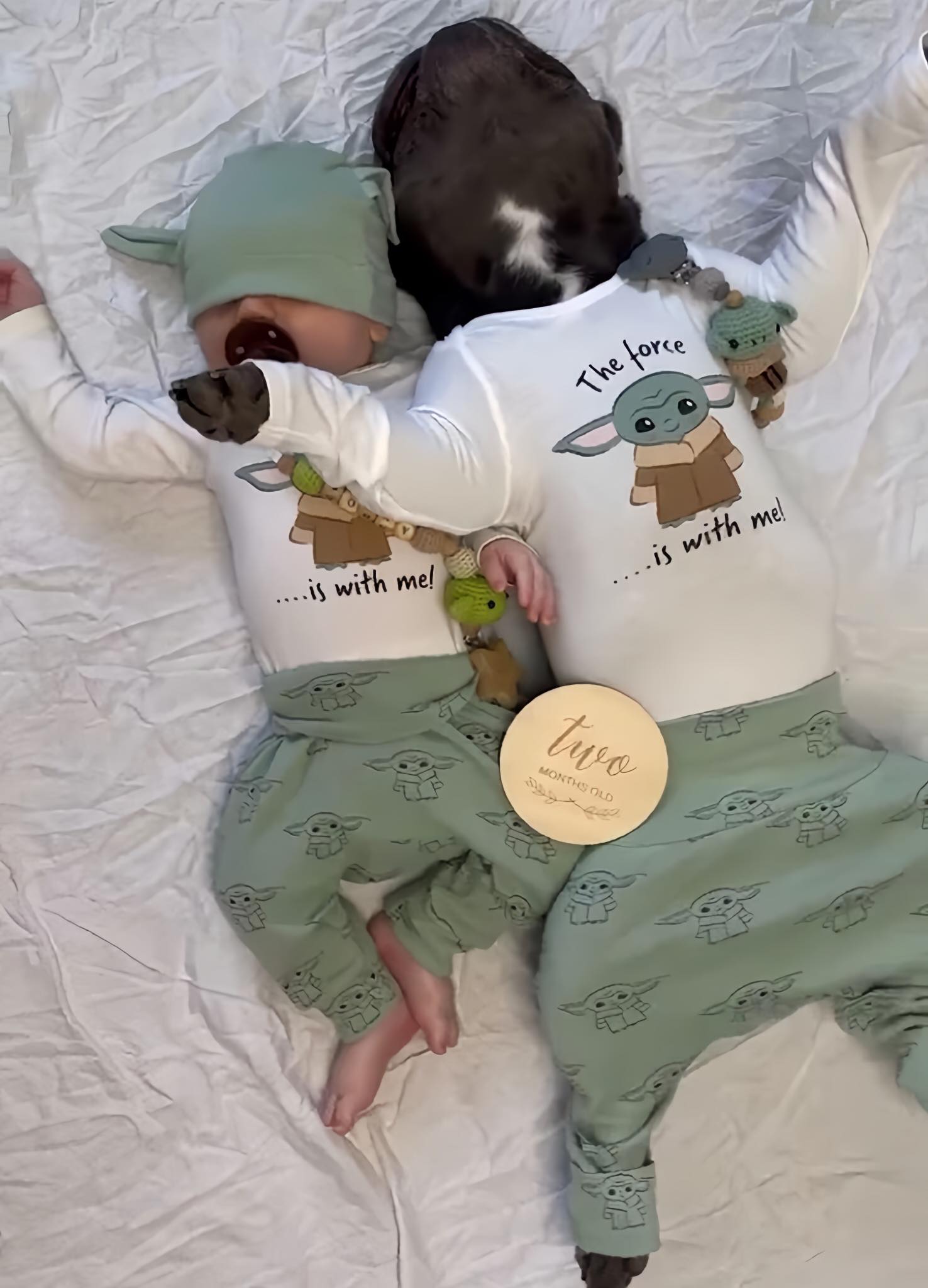 Frenchie dog napping with newborn baby, the cuteness attracts millions of people q. - Puppy Blog