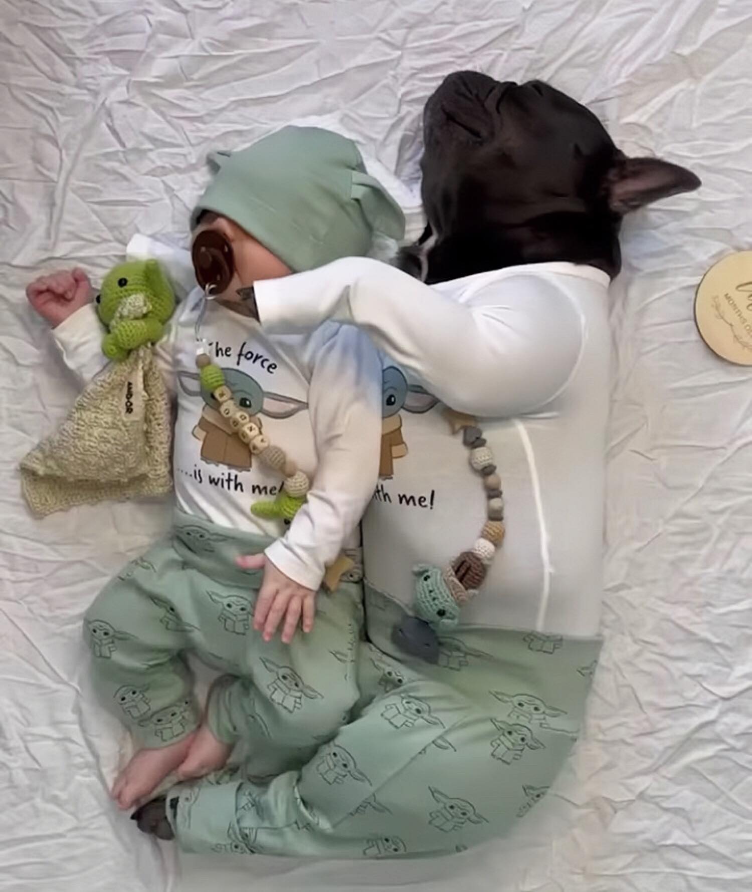 Frenchie dog napping with newborn baby, the cuteness attracts millions of people q. - Puppy Blog