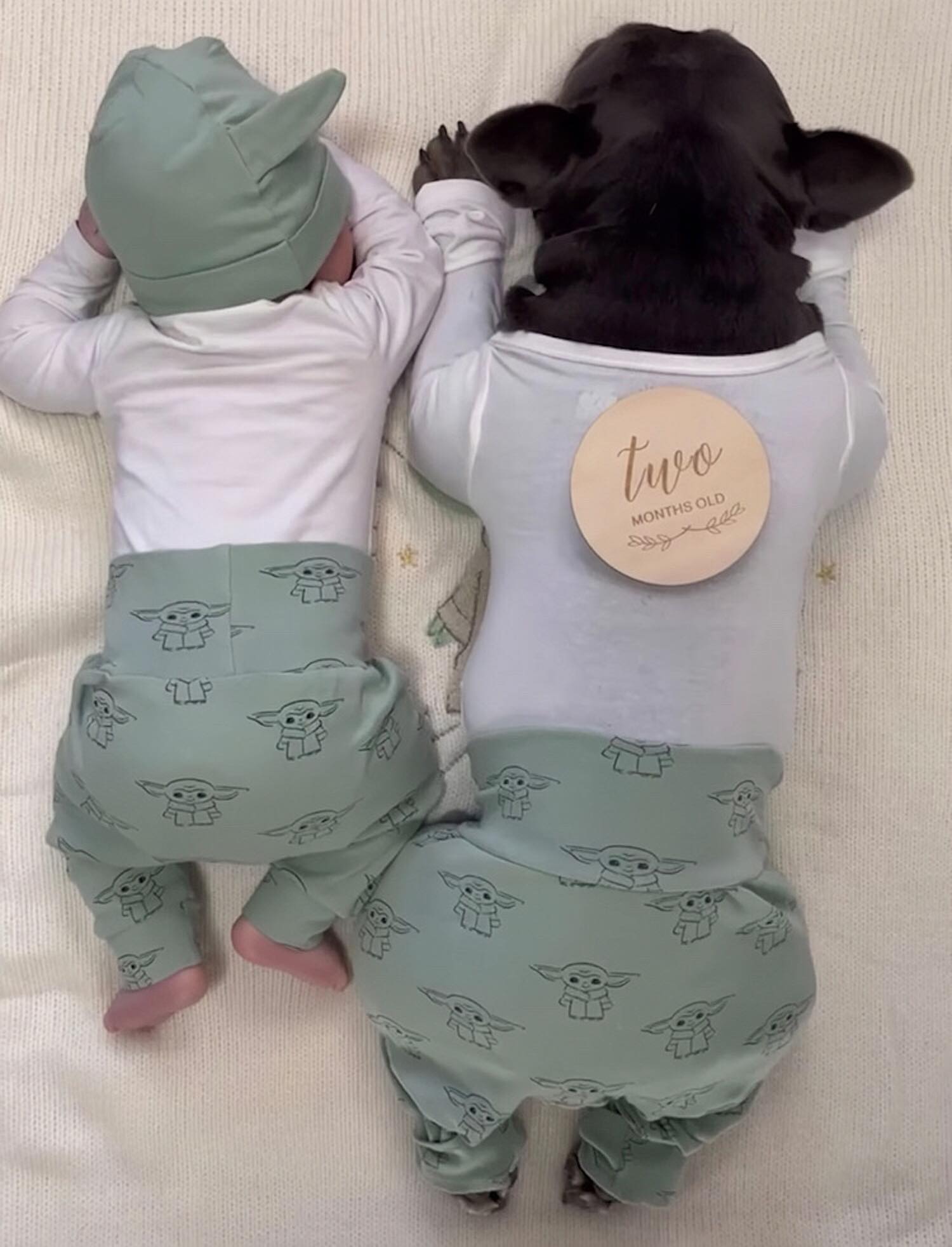 Frenchie dog napping with newborn baby, the cuteness attracts millions of people q. - Puppy Blog