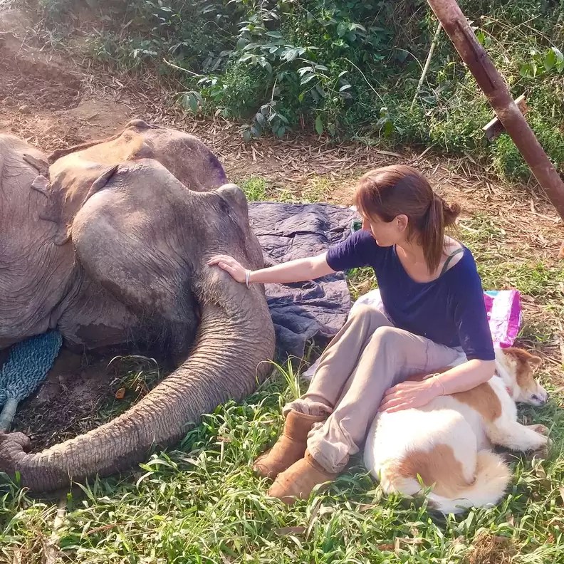 Until dusk and his last breath, the dog lay close to his elephant friend, refusing to leave the dying elephant's side