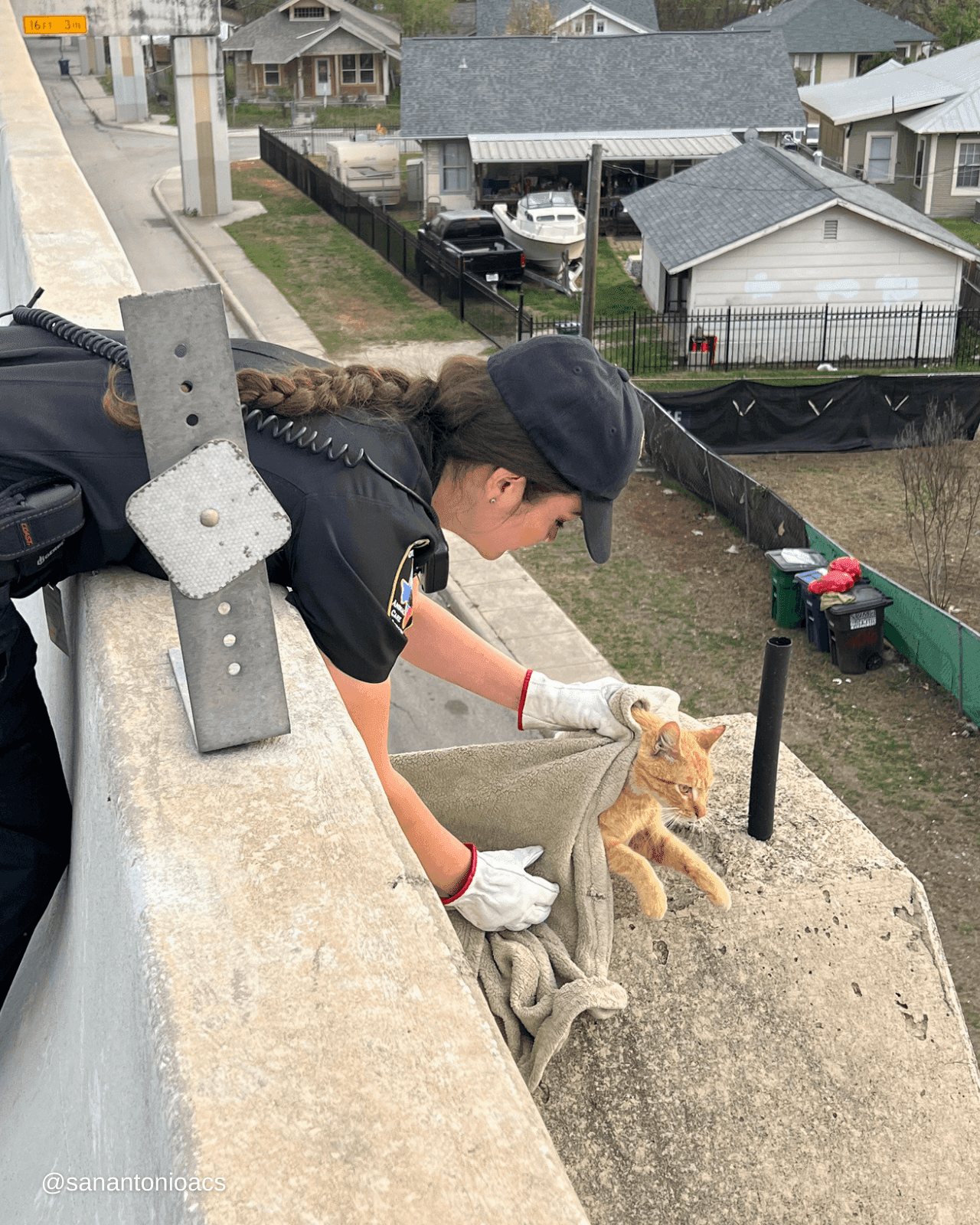 Nice action of the policewoman : Rescuing the cat from the ledge of the highway overpass despite the difficult height