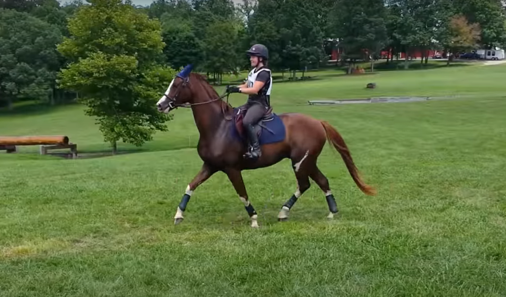 Hilarious Horse Has The Internet Laughing With Her Jumping Skills