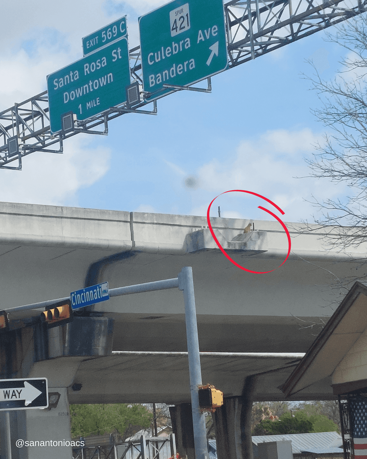 Nice action of the policewoman : Rescuing the cat from the ledge of the highway overpass despite the difficult height