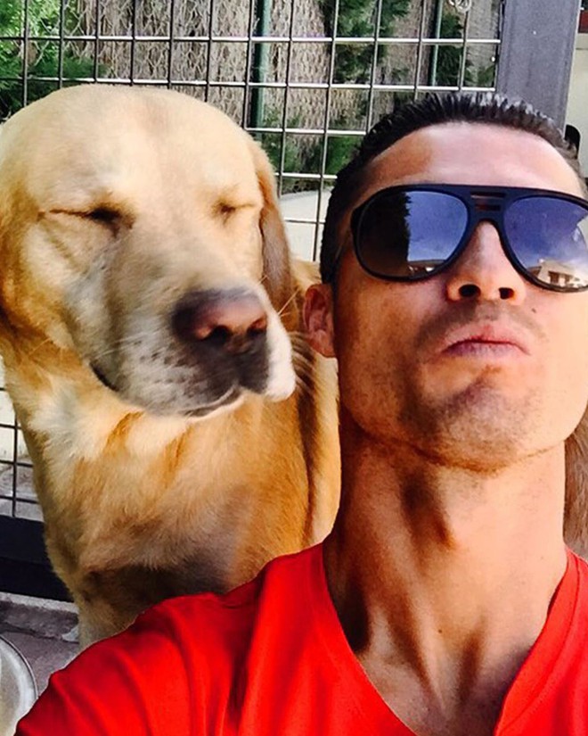 From a puppy to a super dog, Ronaldo's bodyguard 'animal' has everyone in 'amazement'