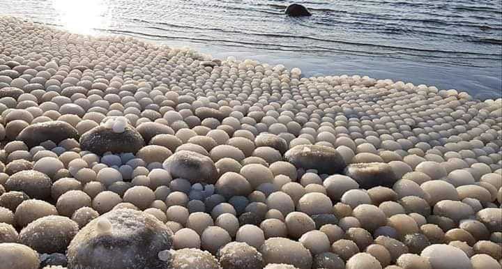 Rare and Breathtaking: Thousands of 'Ice Eggs' Discovered on Finnish Beach