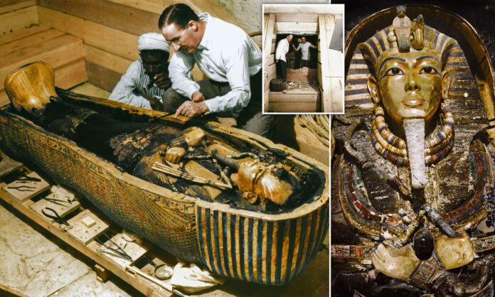 The small mummy from Ancient Egypt, which is 2100 years old and decorated with hawk designs, was initially believed to belong to a bird due to its size