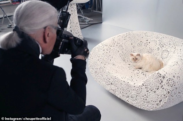 How is Karl Lagerfeld's cat Choupette doing now